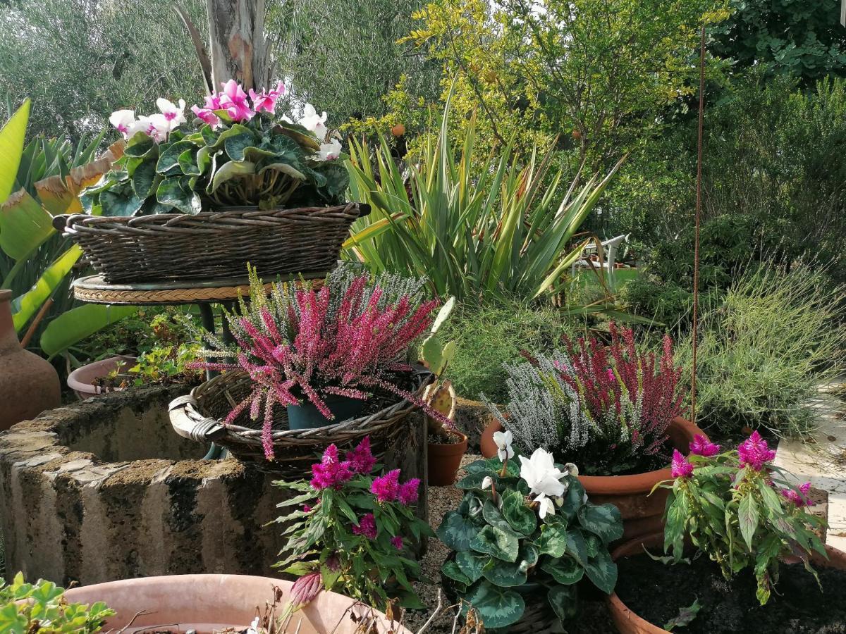 Il Giardino Del Te Hotell Barletta Exteriör bild
