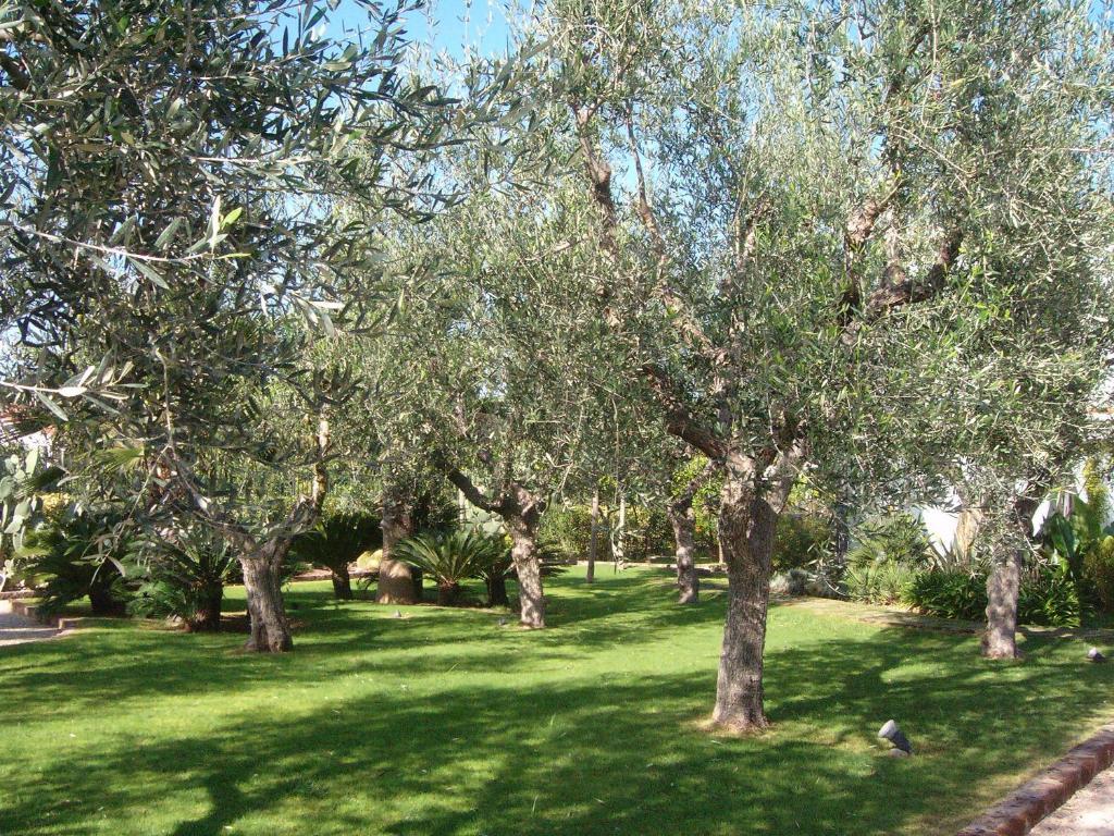 Il Giardino Del Te Hotell Barletta Exteriör bild