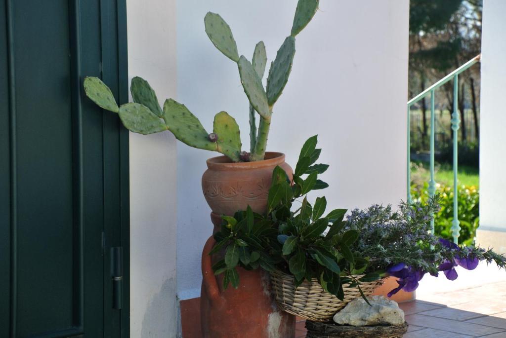 Il Giardino Del Te Hotell Barletta Rum bild