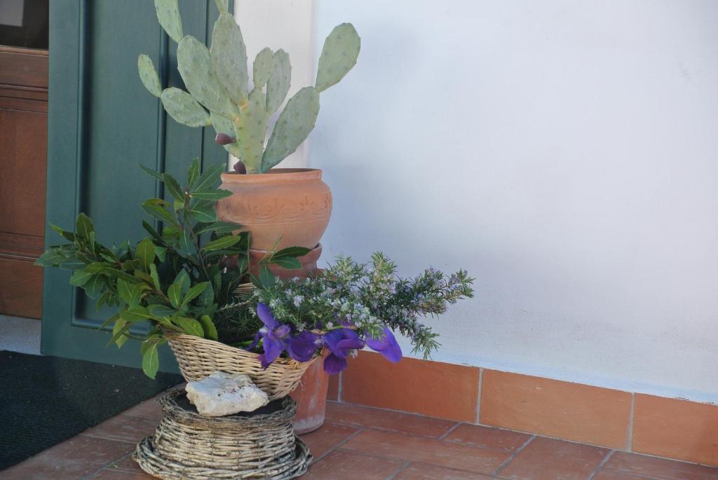Il Giardino Del Te Hotell Barletta Exteriör bild